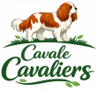cavale logo transp crop